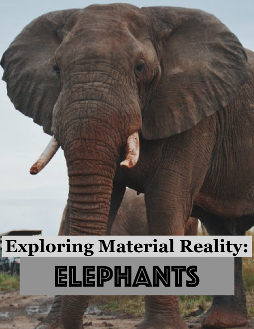 Exploring Material Reality: Elephants