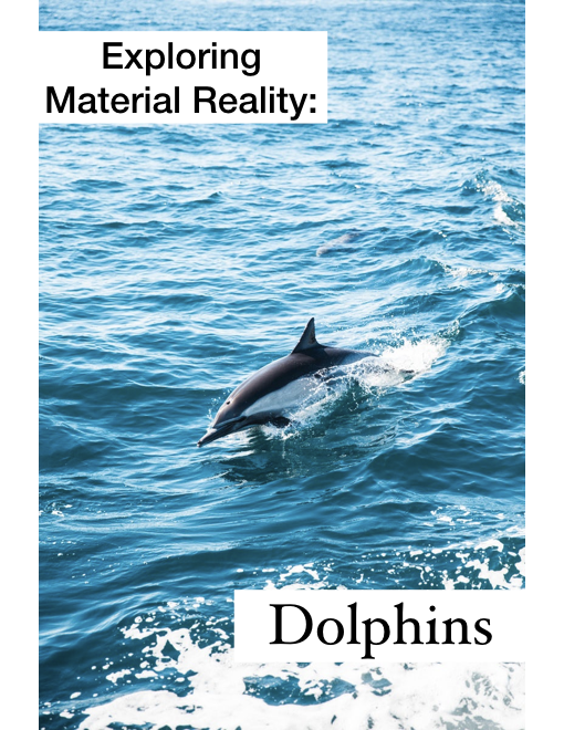 Exploring Material Reality: Dolphins