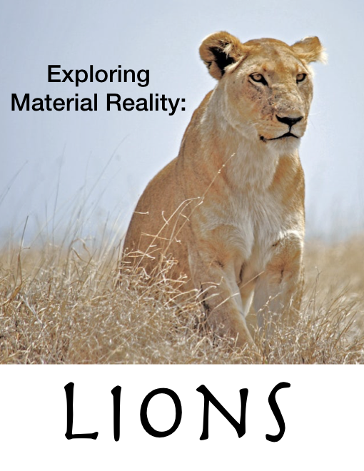 Exploring Material Reality: Lions